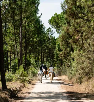 Passeio a cavalo